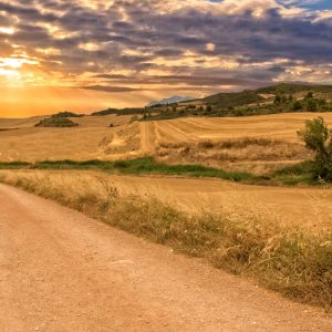 Camino de Santiago