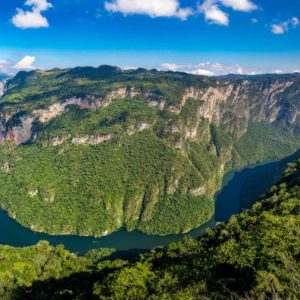 Selva de Chiapas, Mexico